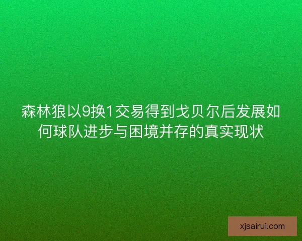 森林狼以9换1交易得到戈贝尔后发展如何球队进步与困境并存的真实现状